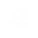 Logo da PowerPlay Industries