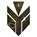 Logo da STRYKERS